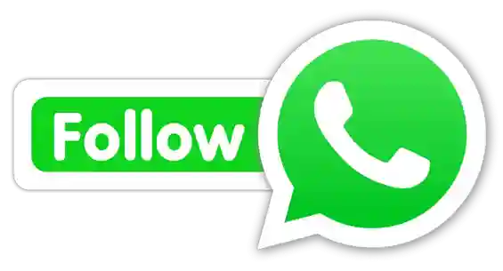 All Jaiho Store WhatsApp